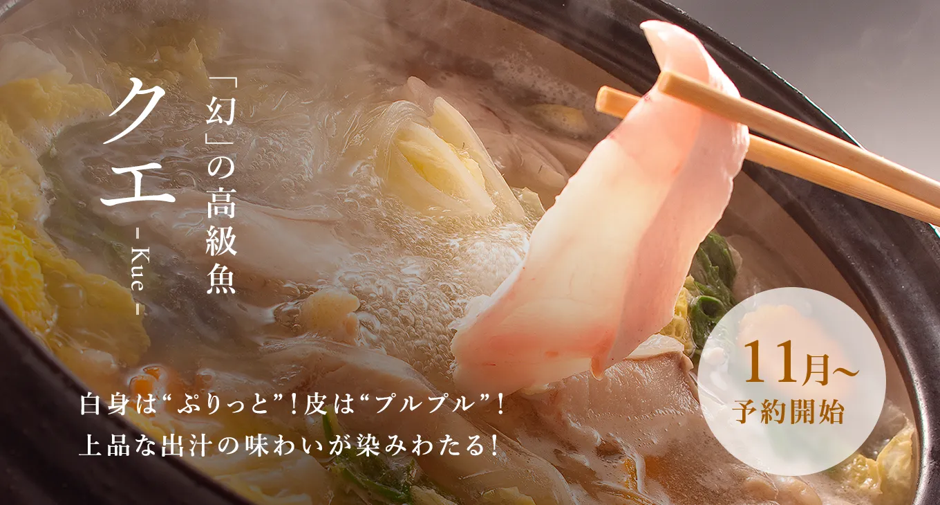 「幻」の高級魚 クエ